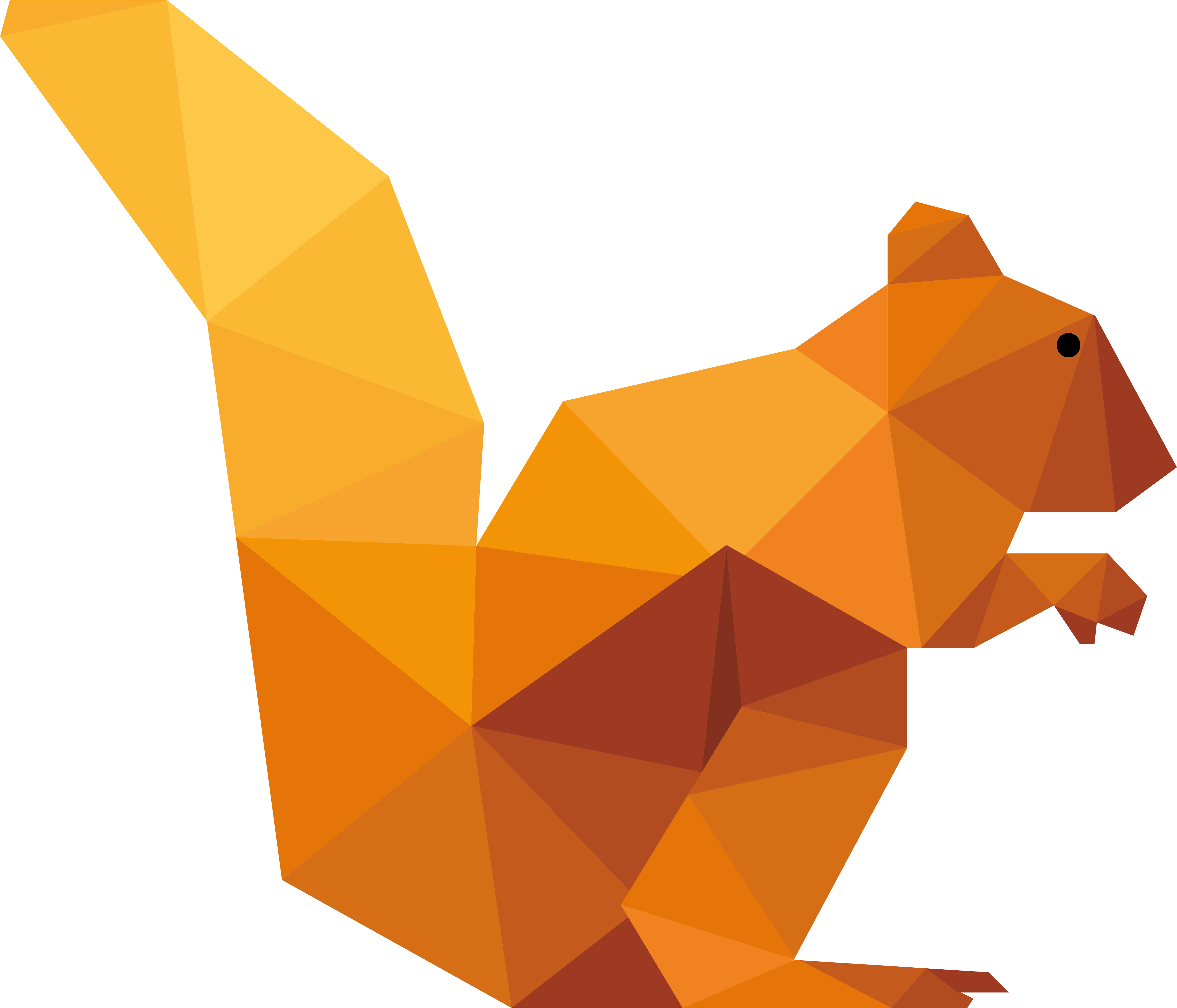 DataSquirrel Logo